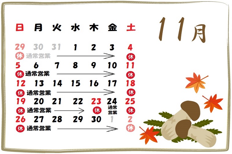 11月